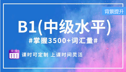 B1（中級(jí)水平）精品小班課