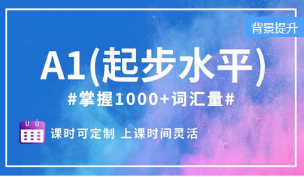 A1（起步水平）精品小班課