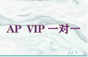 國際課程（APVIP一對一）