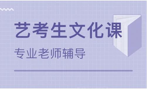 成都藝考文化課沖刺課程輔導機構(gòu)十大精選排名一覽