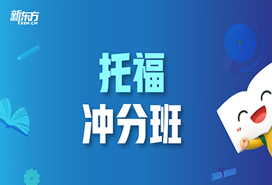 托福VIP一對(duì)一輔導(dǎo)培訓(xùn)班內(nèi)容一覽