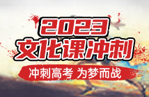 四川邛崍藝考文化課沖刺課程十大排名輔導(dǎo)機(jī)構(gòu)盤點(diǎn)一覽