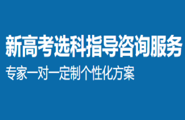 新高考選科指導咨詢服務