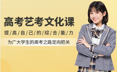 成都高三藝考生文化課沖刺課程排名前十輔導(dǎo)機(jī)構(gòu)一覽
