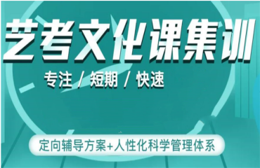 合肥本地前10大高三藝考文化課精品集訓(xùn)班好口碑機(jī)構(gòu)排行榜一覽
