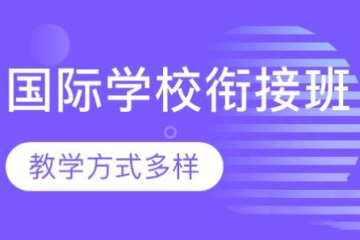 廣東國際學(xué)校銜接班課程精品培訓(xùn)班