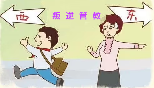 上海十大叛逆青少年全封閉管教學(xué)校排名名單一覽