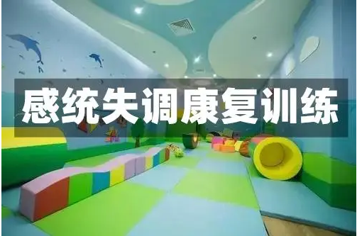 盤點(diǎn)成都當(dāng)?shù)貎和薪y(tǒng)訓(xùn)練一對(duì)一機(jī)構(gòu)前10大排名更新一覽