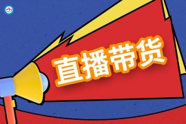 抖音短視頻直播運(yùn)營培訓(xùn)班