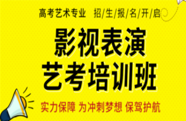 重慶影視表演藝考全程集訓(xùn)班力推十大機(jī)構(gòu)排名一覽
