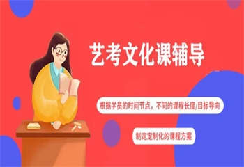 北京市藝考生文化課沖刺班排名介紹