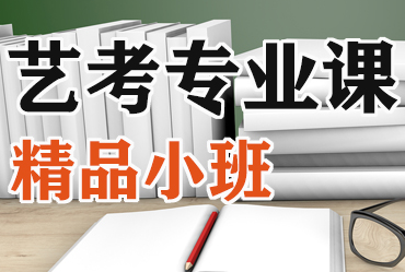 藝考專業(yè)課精品小班課程