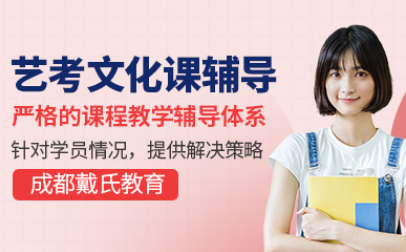 藝考文化課輔導(dǎo)