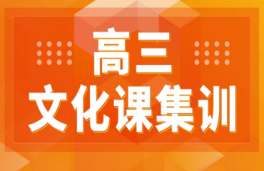 篩選10大武漢高三藝考生文化課全托沖刺補(bǔ)習(xí)機(jī)構(gòu)榜單一覽
