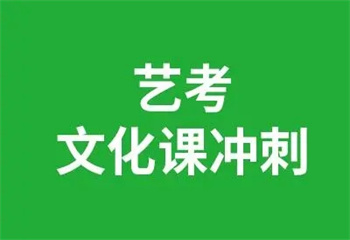 山東濟南藝考生文化課輔導(dǎo)機構(gòu)十大排名推薦一覽