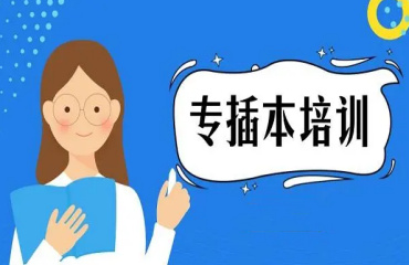 本科菁英計劃