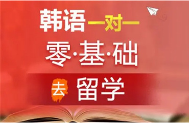 廣東可靠的十大韓語(yǔ)考級(jí)一對(duì)一培訓(xùn)機(jī)構(gòu)名單排名一覽