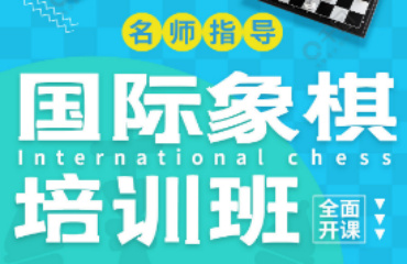 國(guó)內(nèi)2025十大國(guó)際象棋培訓(xùn)班排名精選一覽