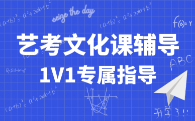 北京海淀區(qū)十大藝考生文化課補習機構(gòu)排名榜推薦一覽