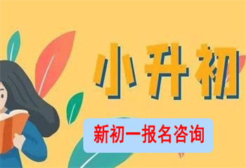 湖南長(zhǎng)沙本地十大新初一1對(duì)1線上輔導(dǎo)班榜單介紹