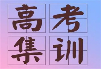 吉林長春藝術(shù)生高考文化課輔導(dǎo)機構(gòu)十大熱門排名瀏覽