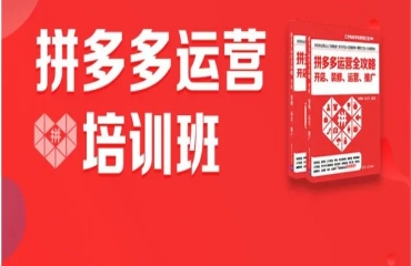 拼多多精品運(yùn)營班