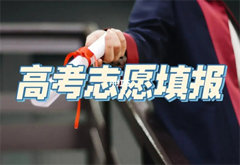 高考志愿填報(bào)服務(wù)項(xiàng)目