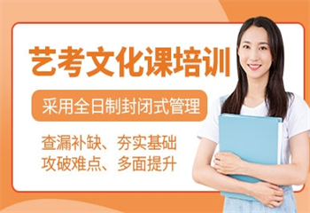 蘇州藝術(shù)高考文化課集訓(xùn)班