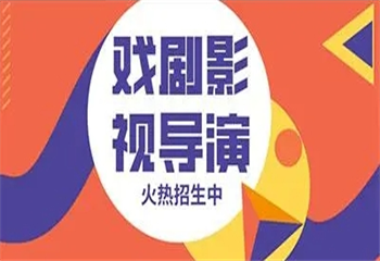 戲劇影視導演專業(yè)
