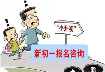 2024河南鄭州暑假小升初銜接班top排行榜一覽