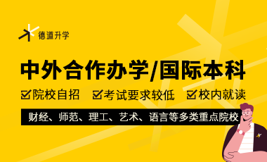 中外合作辦學(xué)/國際本科