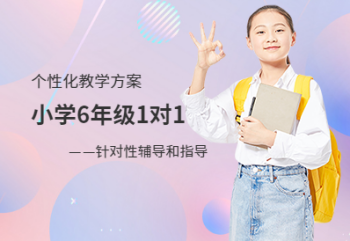 小學(xué)6年級(jí)一對(duì)一課程