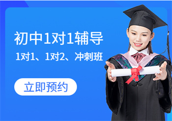 初一一對(duì)一課程