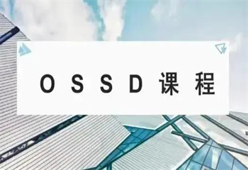 熱榜!成都口碑好的前十OSSD國(guó)際課程輔導(dǎo)機(jī)構(gòu)排名一覽