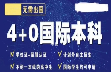 山東十大中外合作辦學(xué)4+0國際本科申請機(jī)構(gòu)名單一覽