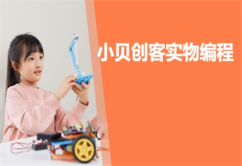 小貝創(chuàng)客實(shí)物編程（3-4歲）