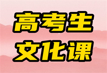 2025濟(jì)南藝體生文化課培訓(xùn)學(xué)校排名前十盤點(diǎn)一覽