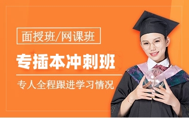 專插本沖刺營