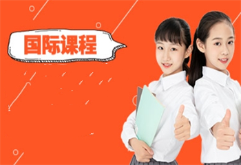 廣東8大國(guó)際課程AP培訓(xùn)學(xué)校排名更新介紹