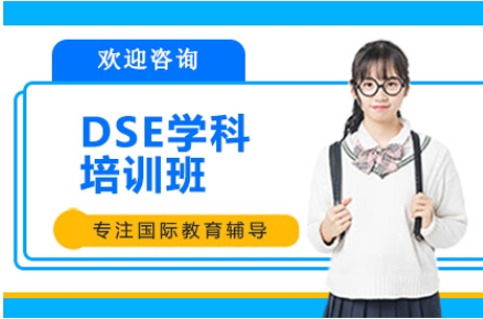 國內(nèi)十大DSE學科課程培訓機構名單推薦