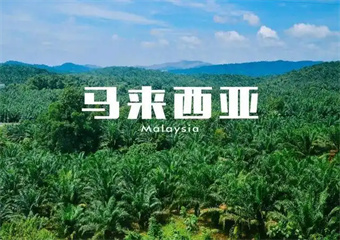 國內5大馬來西亞留學申請辦理機構排名一覽