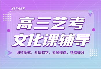 高三藝考體考生文化課沖刺課程