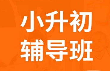 上海小升初銜接課程輔導(dǎo)機構(gòu)五大排名2025年出爐一覽