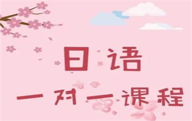 高考一對(duì)一日語(yǔ)培訓(xùn)課程