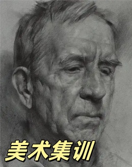 2025年普通高中美術(shù)優(yōu)秀生培養(yǎng)計(jì)劃