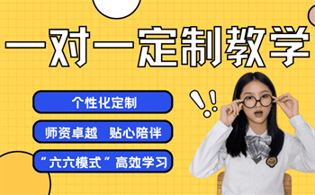 一對一定制教學