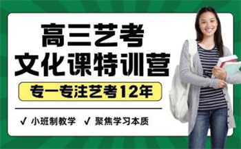 高三藝考文化課特訓營